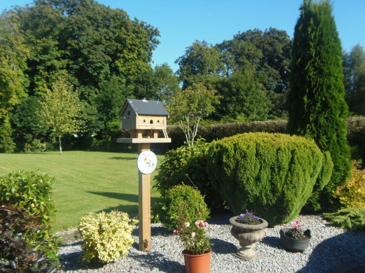 Cloghan Lodge Castleisland Exterior foto