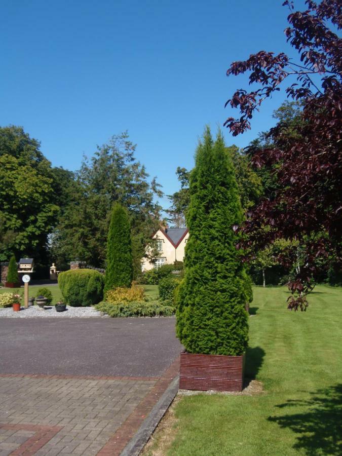 Cloghan Lodge Castleisland Exterior foto