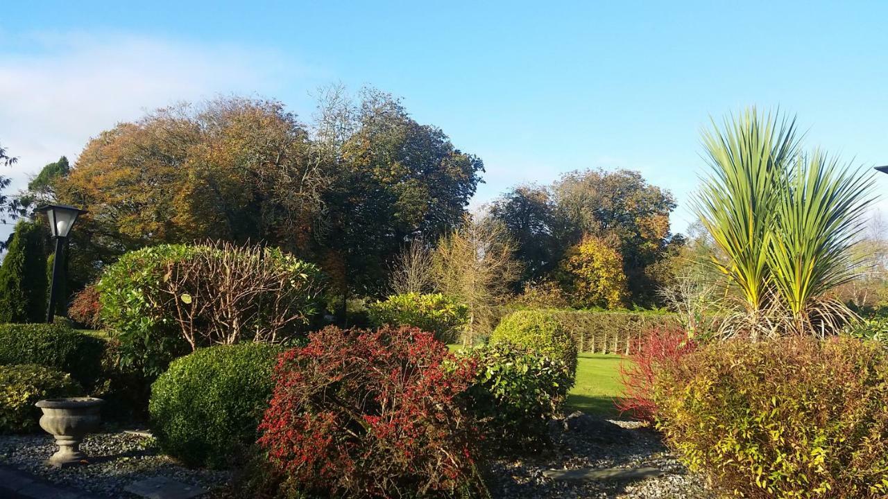 Cloghan Lodge Castleisland Exterior foto